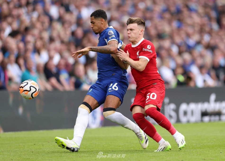 率并不占优 率并不占优