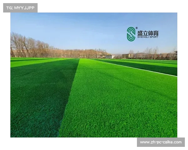 英超草皮管理：如何打造高标准球场以提升比赛质量和球员表现